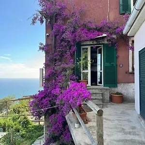 apt-amazing-flat-at-the-heart-of-5-terre-national-park.hotelitalianriviera.com/